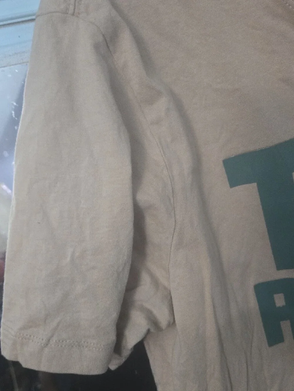 True Religion Taupe Short-Sleeve Tee with Green Logo